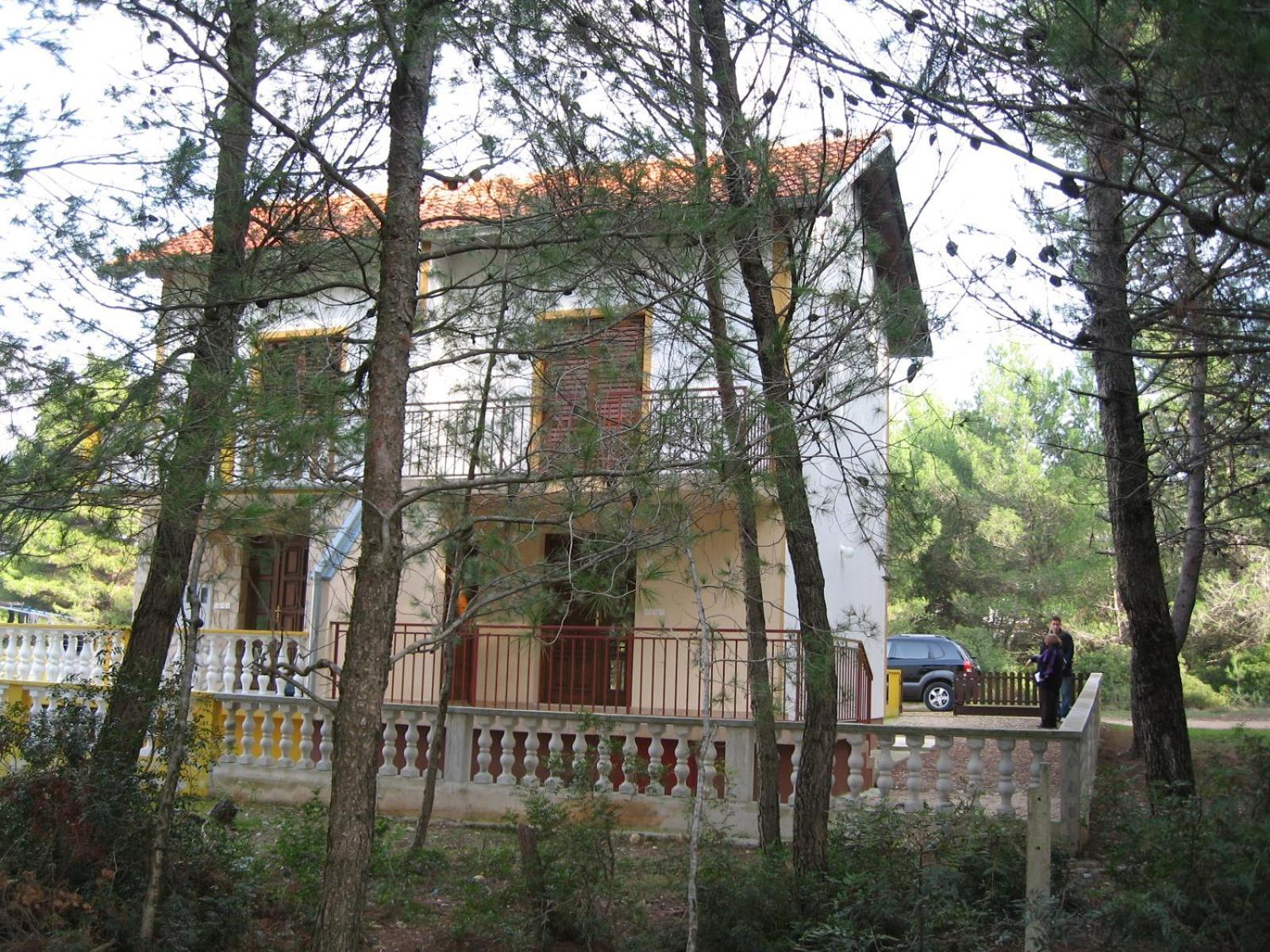 The White House Croatia Apartment Bibinje Bagian luar foto