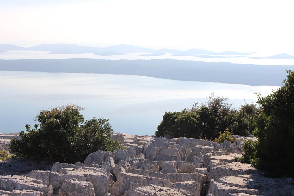 The White House Croatia Apartment Bibinje Bagian luar foto
